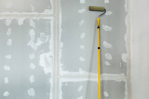 Best Commercial Mold Inspection  in Bushyhead, OK