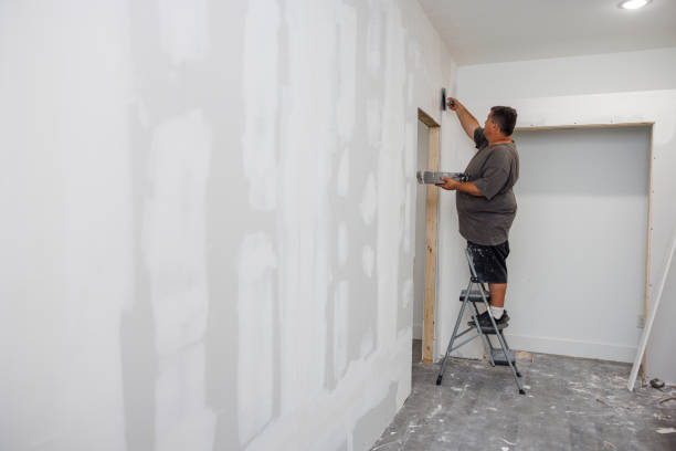 Best Basement Mold Removal  in Bushyhead, OK