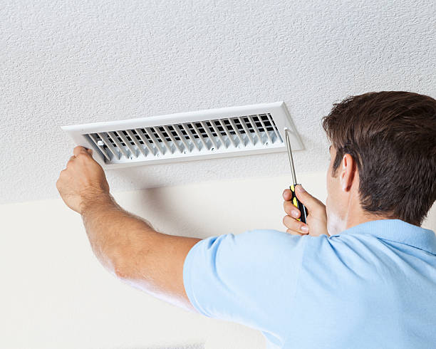 Best Crawl Space Mold Remediation  in Bushyhead, OK