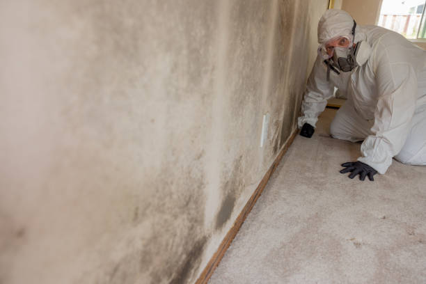 Best Water Damage & Mold Remediation  in Bushyhead, OK